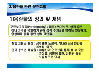 인터넷 음란물 접촉실태와 인식, 학업성취에 미치는 영향 -여대생을 중심으로-10