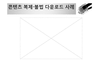 무선인터넷의 확대와 지적재산권-20