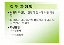 한국어의 조어법-7