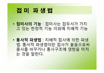한국어의 조어법-8