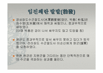 이순신과 원균 레포트-10