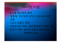 유전자 변형 식품 GMO의 현황과 잠재적 위해성-5