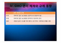 유전자 변형 식품 GMO의 현황과 잠재적 위해성-13