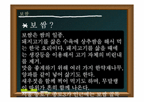 [조리원리] 보쌈과 퀘사디아-15