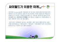 싸이월드 마케팅사례분석-8