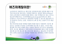 싸이월드 마케팅사례분석-9