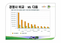 싸이월드 마케팅사례분석-14