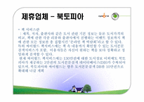 싸이월드 마케팅사례분석-20