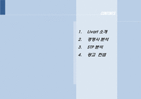 리바트(Livart)마케팅전략과 광고기획제안-2