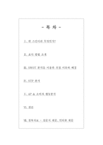 한스킨 비비크림 마케팅성공전략분석<담당자인터뷰자료포함>-2