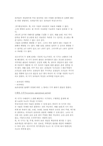 피아제 인지발달이론-4