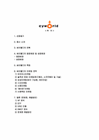 싸이월드(cyworld)마케팅전략과 문제점및해결방안제시<담당자인터뷰자료포함>-2