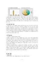 싸이월드(cyworld)마케팅전략과 문제점및해결방안제시<담당자인터뷰자료포함>-17