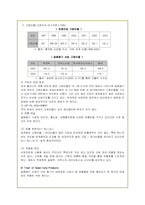 [경영학]하나코비(주) 락앤락의 해외 마케팅 전략-7