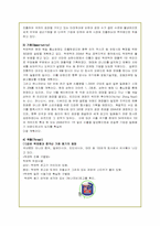 [경영학]하나코비(주) 락앤락의 해외 마케팅 전략-12