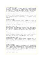 [경영학]하나코비(주) 락앤락의 해외 마케팅 전략-16