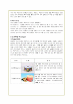 [경영학]하나코비(주) 락앤락의 해외 마케팅 전략-17