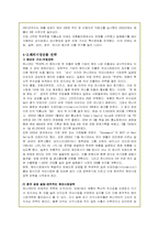 [경영학]하나코비(주) 락앤락의 해외 마케팅 전략-20