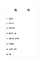 [국제경영]쉘라인 해외 진출-2