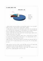 [국제경영]쉘라인 해외 진출-15