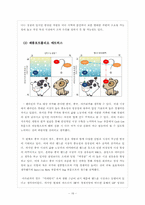 [국제경영]쉘라인 해외 진출-18