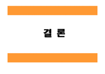 [국제경영]쉘라인 해외 진출-12