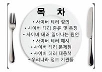 [사이버정치]사이버테러와 사이버 안보-3