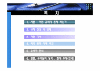 [시장과 경제규제]의약품 규제에 대한 의견-2