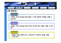 [시장과 경제규제]의약품 규제에 대한 의견-6