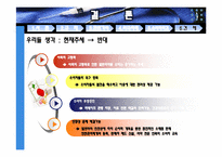 [시장과 경제규제]의약품 규제에 대한 의견-10