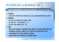 [복지국가론]독일(비스마르크 정권)의 사회보험제도-6