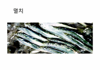[부생물조사]수산물류-13