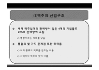 인터브루(Interbrew)국제마케팅전략분석-12