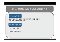 인터브루(Interbrew)국제마케팅전략분석-19