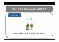 인터브루(Interbrew)국제마케팅전략분석-20