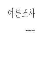 [정치커뮤니케이션] 여론조사-9