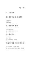 맥도날드(McDonald) 마케팅전략과 기업문화-2