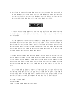 [국제경영] 일본라멘을 통해 본, 한국라면의 세계화 방안-8