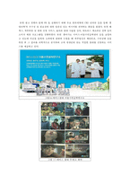 [마케팅] 저관여 제품으로 소주의 `처음처럼 쿨`, 고관여 제품으로 침대의 `에이스 침대`를 분석하여 마케팅 전략의 특징 비교-17