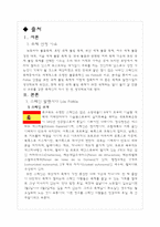[관광이벤트] 스페인 발렌시아 Las Fallas Vs 포항 국제 불빛 축제-3