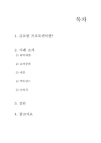 [국제 마케팅] 글로벌 프로모션 사례-2