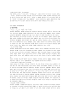 [국제 마케팅] 글로벌 프로모션 사례-9