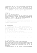 [국제 마케팅] 글로벌 프로모션 사례-10