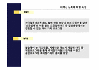 [축제이벤트론] 삿포르 눈축제와 태백산 눈축제 비교 분석-5