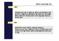 [축제이벤트론] 삿포르 눈축제와 태백산 눈축제 비교 분석-6
