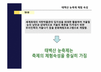 [축제이벤트론] 삿포르 눈축제와 태백산 눈축제 비교 분석-7