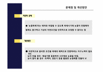 [축제이벤트론] 삿포르 눈축제와 태백산 눈축제 비교 분석-13