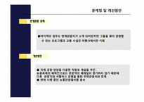 [축제이벤트론] 삿포르 눈축제와 태백산 눈축제 비교 분석-15