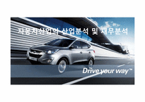 [재무제표분석] 자동차산업의 산업분석 및 재무분석-1