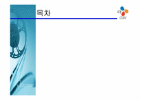 CGV의 마케팅전략-2
